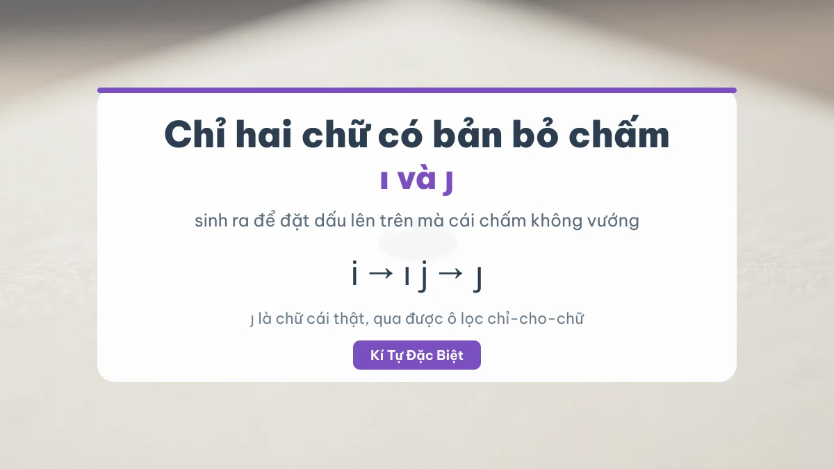 Chữ j không chấm ȷ và chữ i không chấm ı