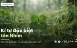 Tên Nhím viết bằng kí tự đặc biệt