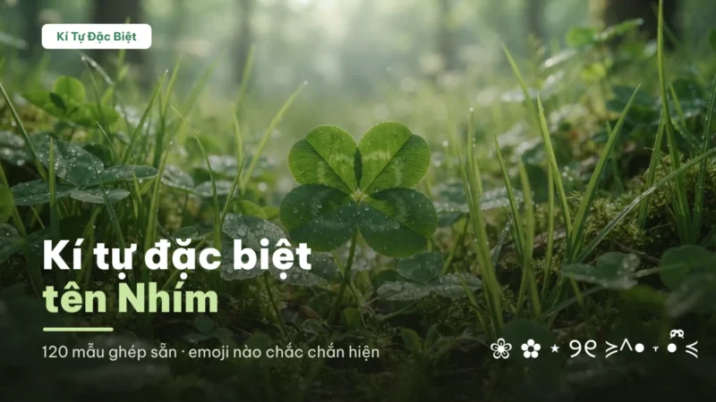 Tên Nhím viết bằng kí tự đặc biệt