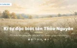 Kí tự đặc biệt tên Thảo Nguyên trên nền đồng cỏ đúng nghĩa cái tên