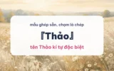 Đồng cỏ cao và hoa dại trắng trong nắng nhẹ, ảnh bìa tên Thảo kí tự đặc biệt